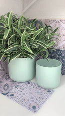 Coppia Vasi Ceramica Satinata Touch col. Menta [Edizione Limitata!]