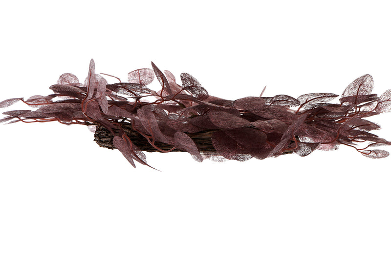 Ghirlanda Rosa Antico 55cm