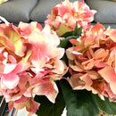 Rami di Ortensia Rosa