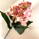 Rami di Ortensia Rosa