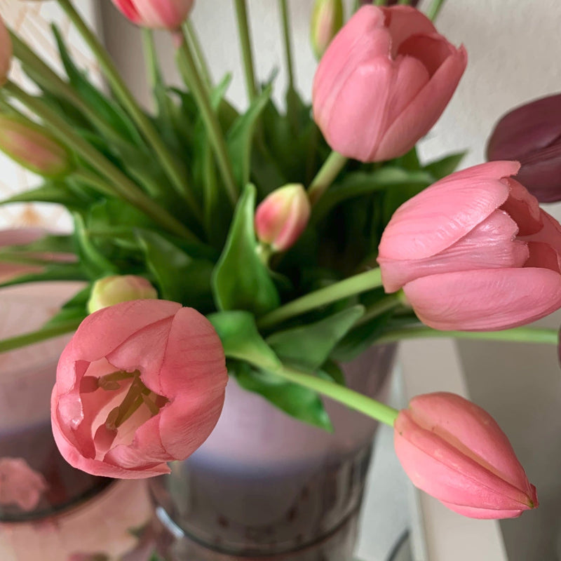 Tulipani Viola Chiaro [1 mazzo da 5]