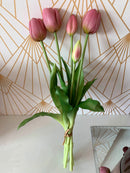 Tulipani Viola Chiaro [1 mazzo da 5]