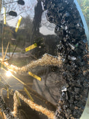 Orologio 60cm Nero e Oro con Corona di Cristalli (Made in Italy)