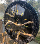 Orologio 60cm Nero e Oro con Corona di Cristalli (Made in Italy)