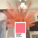 Piume Deep Blush 70cm