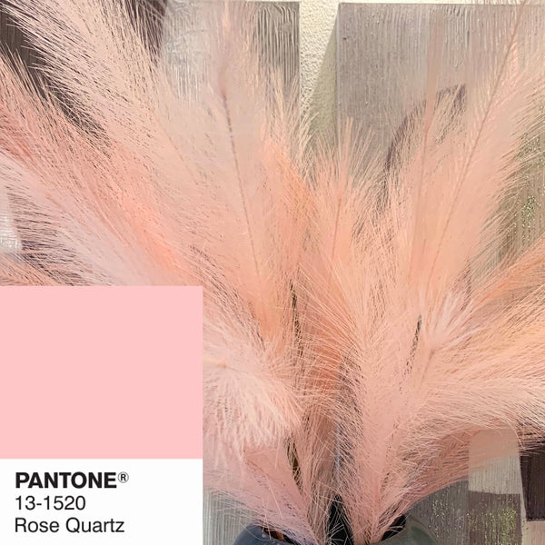 Piume Rose Quartz 130 cm