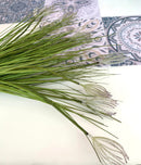 Ramo con 8 fiori di Festuca e foglie