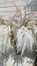 Piume Champagne 120 cm