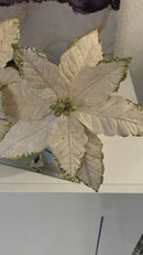 Fiori Velluto Champagne e Glitter Oro