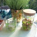 Coppia di Barattoli Jungle con coperchio in Bambu