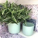 Coppia Vasi Ceramica Satinata Touch col. Menta [Edizione Limitata!]