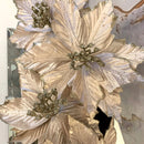 Fiori Velluto Cipria e Glitter Platino