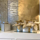 Fiori Velluto Champagne e Glitter Oro