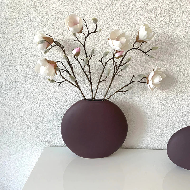 Rami di Magnolia Bianca e Rosa
