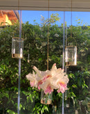 Lanterna Portacandela in Cristallo e Oro