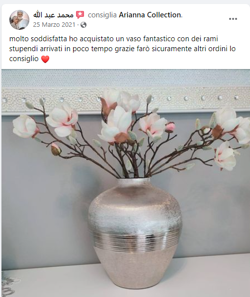 Rami di Magnolia Bianca e Rosa