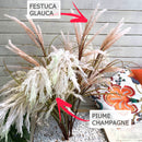 Piume Champagne 120 cm