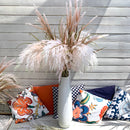 Festuca Glauca 130 cm