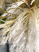 Piume Champagne 120 cm