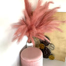 Piume Deep Blush 130 cm