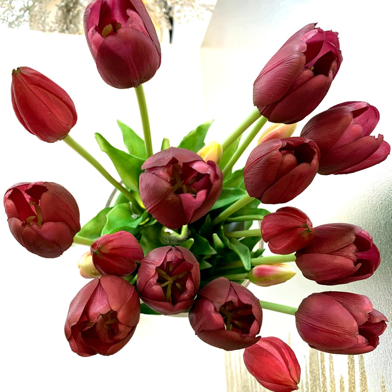 Tulipani Viola Scuro [1 mazzo da 5]