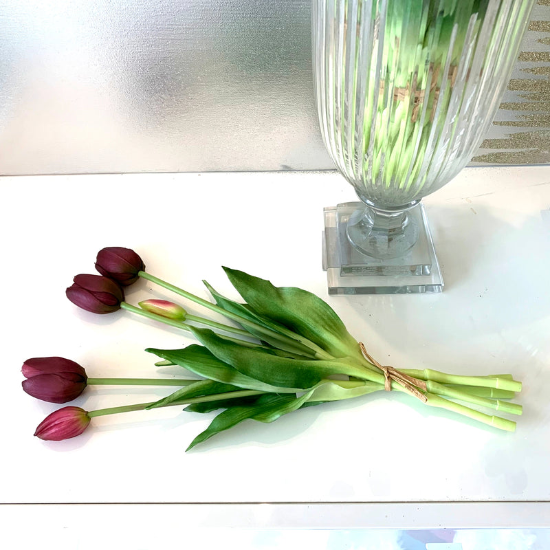 Tulipani Viola Scuro [1 mazzo da 5]