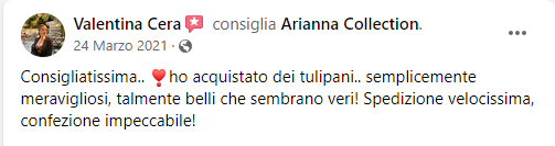 Tulipani Viola Scuro [1 mazzo da 5]