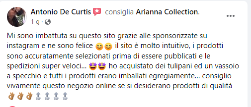 Tulipani Viola Scuro [1 mazzo da 5]