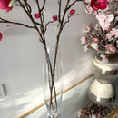 Vaso da Terra Bombato in Cristallo Trasparente h 50 cm