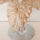 Vassoio Vetro Argento Rotondo